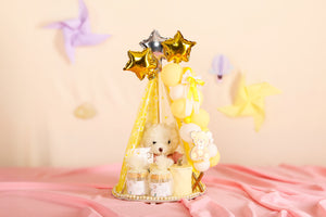 Golden Teddy Celebration Hamper