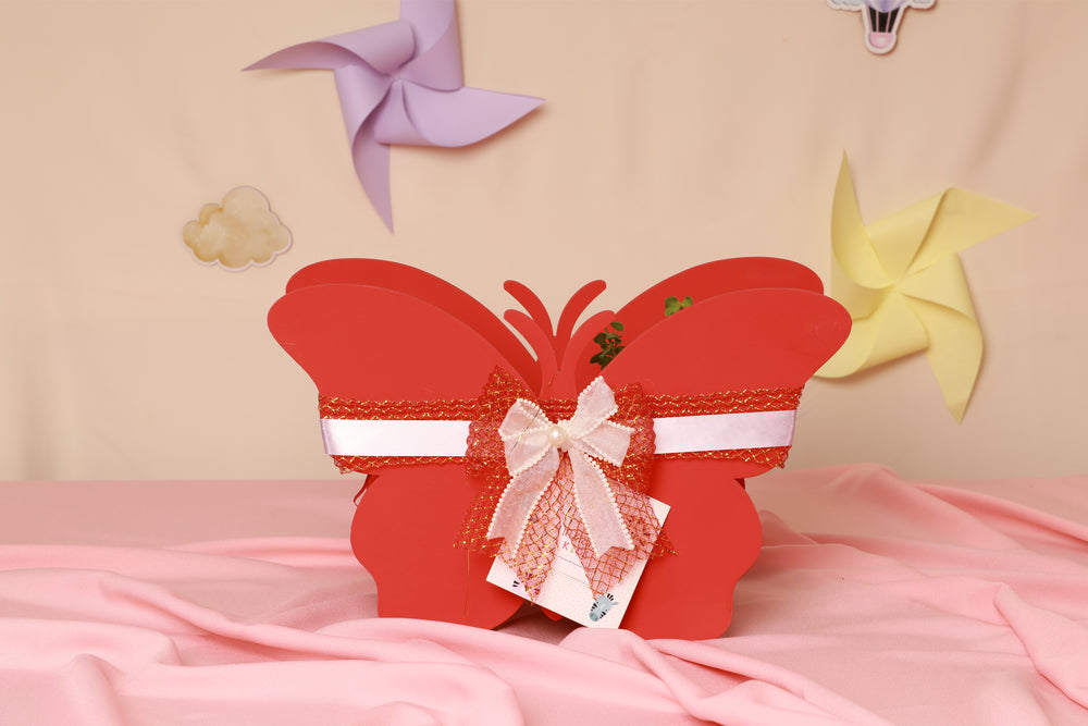 Tiny Wings Welcome Hamper